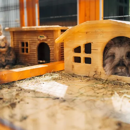 Slow Travel Kirchleitn Aparthotel