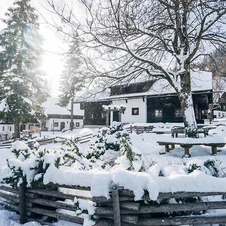 Slow Travel Kirchleitn